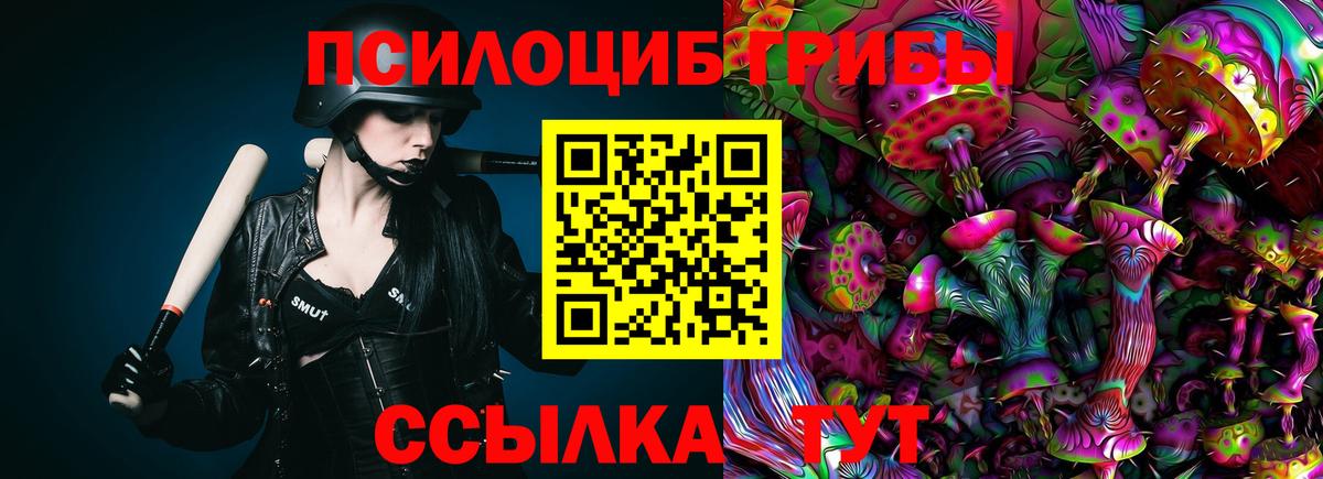 Саров  Галлюциногенные грибы прущие грибы  Вход с VPN  Псилоцибиновые грибы GOLDEN TEACHER 