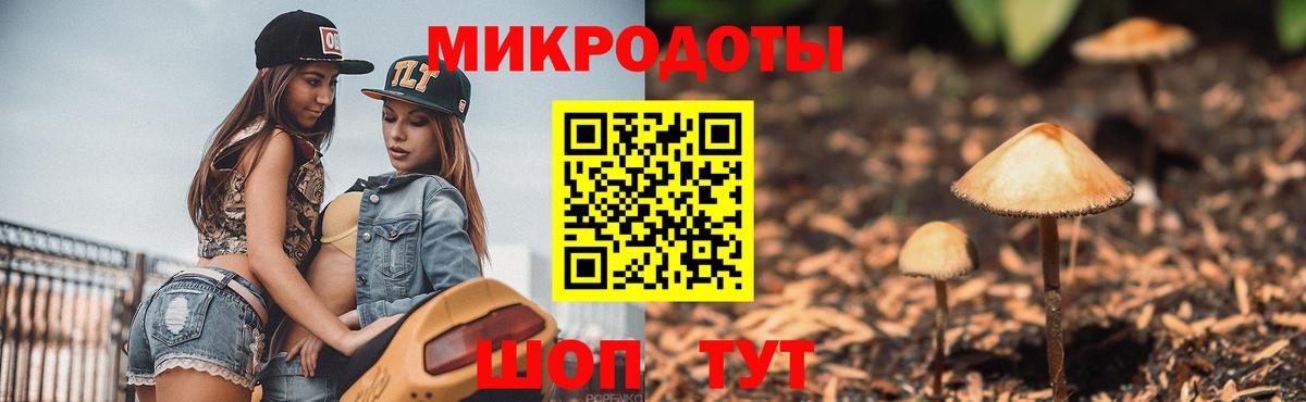 Галлюциногенные грибы прущие грибы Саров